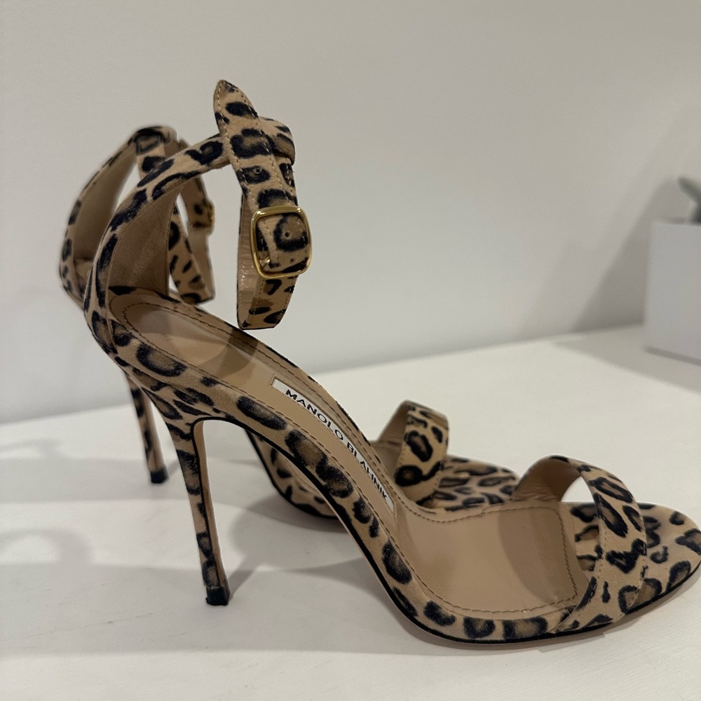 Manolo Blahnik Chaos Leopard sandals